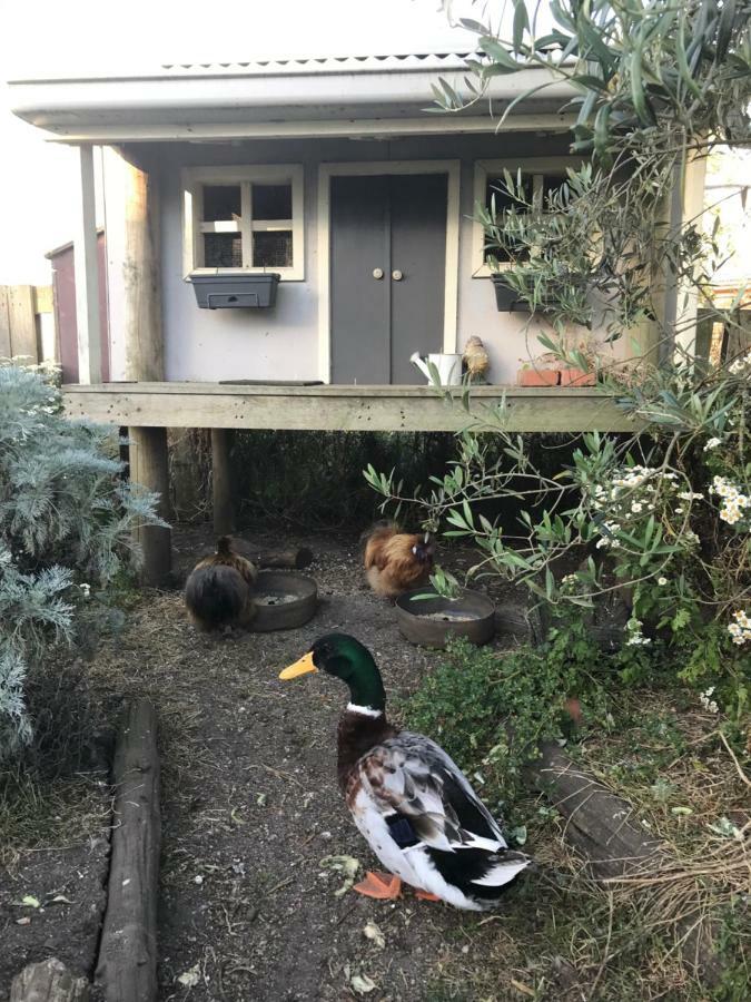 Ferienwohnung Langleys Port Campbell Hobby Farm Exterior foto